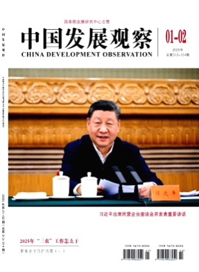 中国发展观察杂志